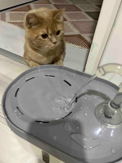 Beklediğimden Çok Daha Sessiz