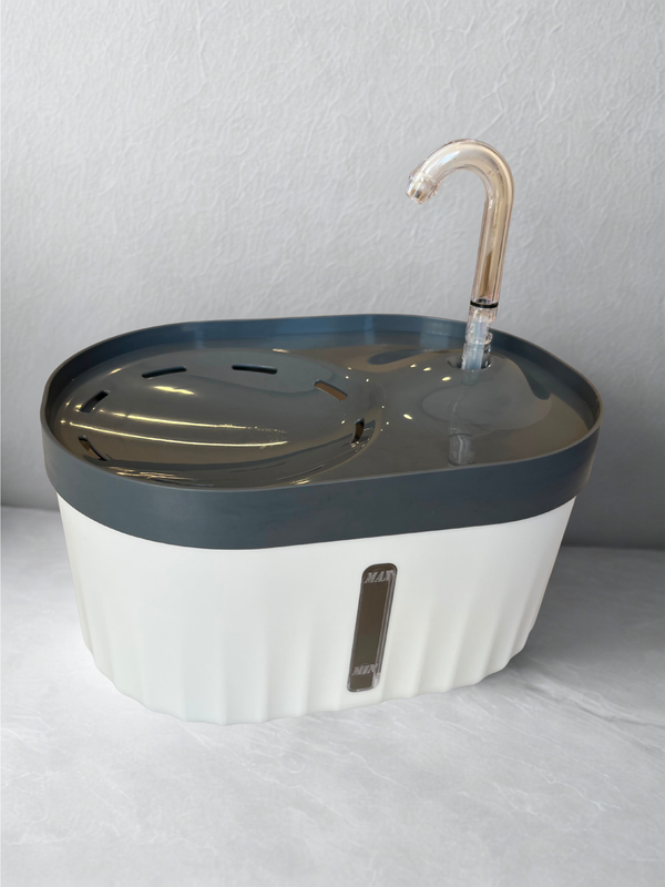 Solezon Paten