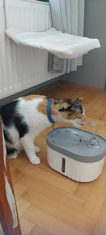Kaliteli ve Şık Görünüyor