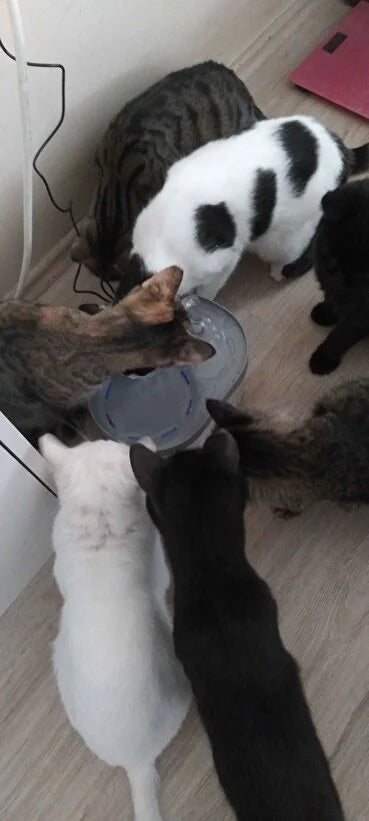 Kurulumu Çok Kolay